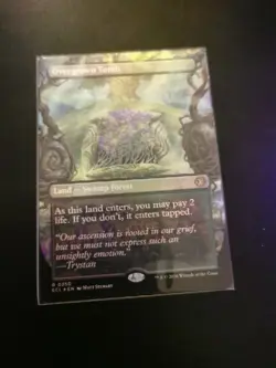Overgrown Tomb (Borderless) Lorwyn Eclipsed Foil - Image 1