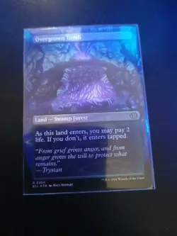Overgrown Tomb (Borderless) Lorwyn Eclipsed Foil - Image 2