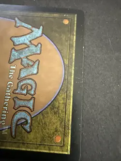 Llanowar Wastes 141 R Apocalypse Magic the Gathering MTG LP - Image 3