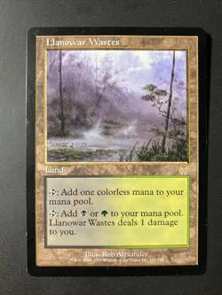 Llanowar Wastes - Apocalypse - Magic The Gathering NM - Image 1
