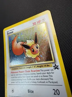 Eevee Promo Holo WOTC Black Star Promo Pokemon Card LP+ - Image 3