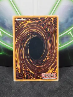 Yugioh Toon Mermaid DLG1-EN064 Common NM - Image 2