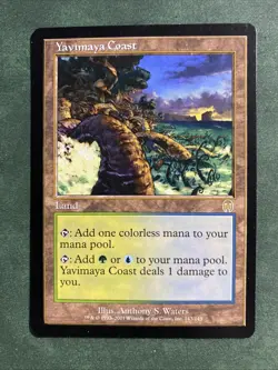 Yavimaya Coast - Apocalypse - MTG - Magic the Gathering NM - Image 1