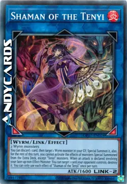 SHAMAN OF THE TENYI • (Sciamano Del Tenyi) • Comune • OP17 EN024 • Unl • YUGIOH! - Image 1