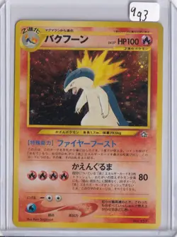 Typhlosion Rare Neo Premium File 1 LP - Image 1