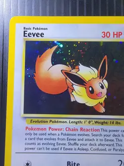 Pokemon Eevee TCG #11 Black Star Holo Promo Card 1999 WOTC - Image 4