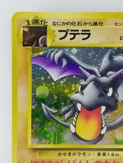 Aerodactyl Japanese Pokemon card Nintendo Holo Rare NO.142 LV.28 HP60 F/S TCG - Image 2