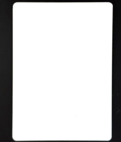 MTG - Denying Wind - NM - Artist Proof Signed by T.Szczudlo - Prophecy #32 Rare - Image 2