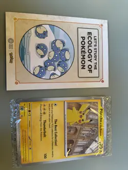 Pokemon x Natural History Museum Promo - Pikachu At The Museum + Ecology of Poke - Image 3
