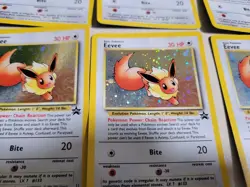 Pokemon - Eevee 11/53 - Black Star Promo Holo - WOTC - Image 4