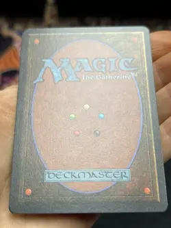 German FBB • Misprint Wald "Forest Plains" • NM / Unplayed • Mtg (2045) - Image 4