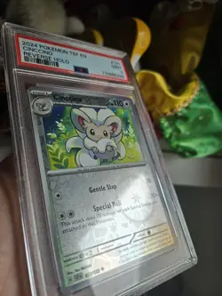 PSA 9 Graded Cinccino (137/162) Temporal Forces - 2024 Pokemon TCG Card - Image 5