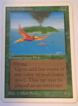 {1x} ~ Birds of Paradise ~ *Unlimited Edition* Heavy Play English **Startropic** - Image 1