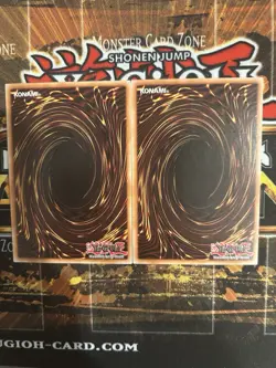 Yu-Gi-Oh! Exchange Spell Card X2 NM Rare Unlimited Edition - Image 2