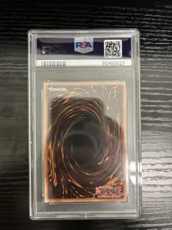 Dark Paladin LCYW-EN048 Unlimited Secret Rare Card PSA 8 NM MT Yu-Gi-Oh 2012 - Image 2