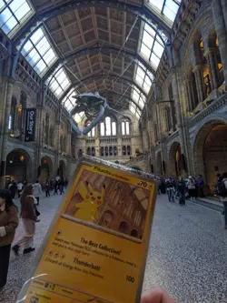 IN HAND Pokemon x Natural History Museum Pikachu card & Leaflet. global shipping - Image 1