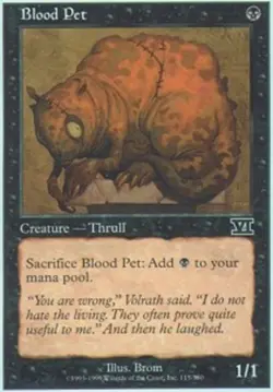 MTG Blood Pet, Sixth Edition, Heavily Played, English - Image 1