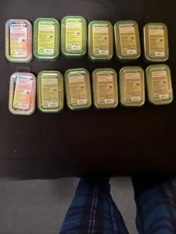 Pokemon TCG Vibrant Paldea Scarletviolet Paldea Fates Lot Of 12 Mini Tins Sealed - Image 3