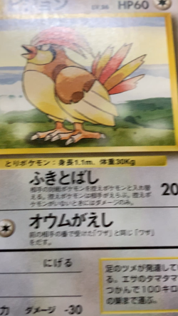 Pidgeotto No.017 1996 Base Set Japanese Pokemon Card No Rarity #1563 - Image 2