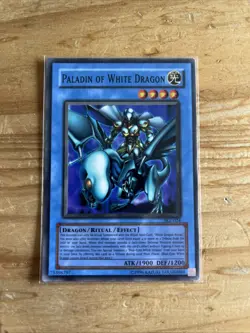 Yugioh Paladin of White Dragon SKE-024 TCG Card - Image 1