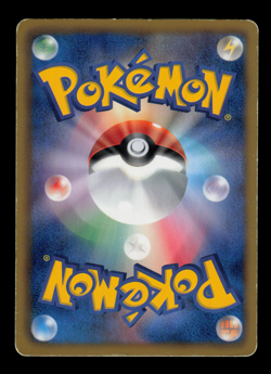 MP - Pokemon Japanese Daiichi Pan Pansage 202/BW-P Promo - Image 2