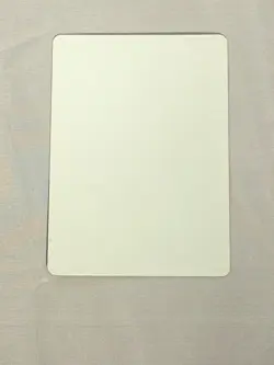 MTG Shield of the Oversoul Artist Proof and Signature Signed Belledin - Image 2