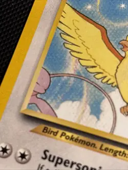 2001 Pokemon Southern Islands WotC Promo 2/18 Pidgeot Non-Holo - Image 3