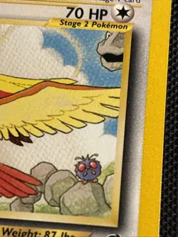 2001 Pokemon Southern Islands WotC Promo 2/18 Pidgeot Non-Holo - Image 4