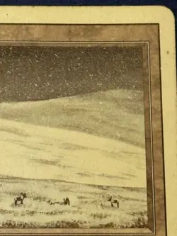 Tundra Revised Edition Regular MP/HP - Image 4