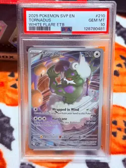 PSA 10 GEM Mint Tornadus SVP210 Black Star Promo - Pokemon SV10.5 WHT - Image 2
