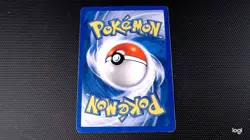 Venusaur - WoTC Promo 13/53 - Promo - Pokemon Black Star TCG MP - Image 2
