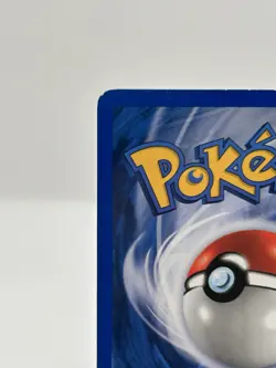 Pokemon TCG Venusaur #13 Wotc Black Star Promo Swirl Holo: LP+ - Image 5