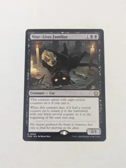 Nine-Lives Familiar Foundations Regular - Image 1