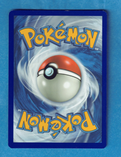 2019 Pokemon Fall Collector's Chest, Pikachu Black Star Promo #SM227 Foil, NM - Image 2
