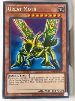 Great Moth Rare Metal Raiders (25th Anniversary Edition) MRD-EN070 LP - Image 1