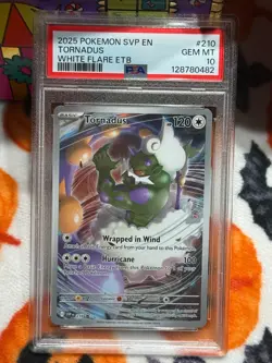 PSA 10 GEM Mint Tornadus SVP210 Black Star Promo - Pokemon SV10.5 WHT - Image 3