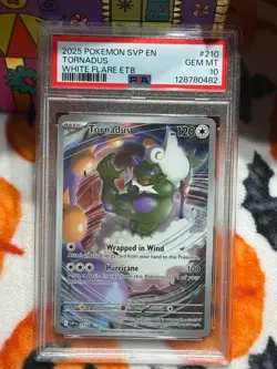 PSA 10 GEM Mint Tornadus SVP210 Black Star Promo - Pokemon SV10.5 WHT - Image 4