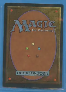 MTG: Mirage: Dusterwasser (Bad River): GERMAN - Image 2