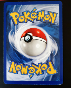 Pidgeot 24/64 Carte Pokemon Card Rare Wizards Jungle English - Image 2