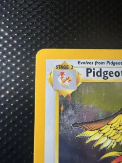 Pokemon Pidgeot TCG Holo Rare Card 8/64 Jungle Unlimited MP-HP - Image 2