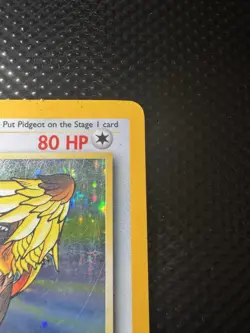 Pokemon Pidgeot TCG Holo Rare Card 8/64 Jungle Unlimited MP-HP - Image 3