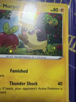 Pokemon Morpeko *FART SWIRL* SWSH031 Cosmo Holo Promo Black Star - Image 1
