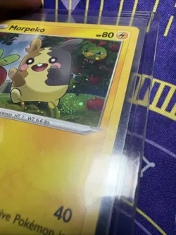 Pokemon Morpeko *FART SWIRL* SWSH031 Cosmo Holo Promo Black Star - Image 2