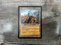 Wasteland Tempest - LP - MTG Magic The Gathering - FREE Shipping! - Image 1