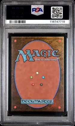 2024 MTG MKM Hedge Maze Borderless PSA 9 - Modern Land - Image 2