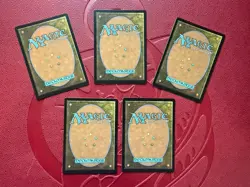 MTG Secret Lair Kozyndan: The Lands Foil Edition - Image 2