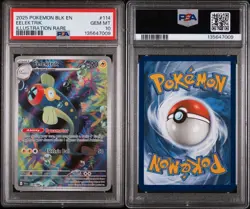 Pokemon TCG Eelektrik IR 114/086 SV Black Bolt Holo PSA 10 Low Pop - Image 3