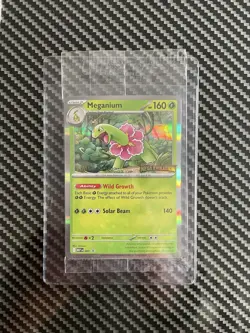 Pokemon Mega Evolutions Staff Promos Set of 4 SEALED in Pack - Image 1