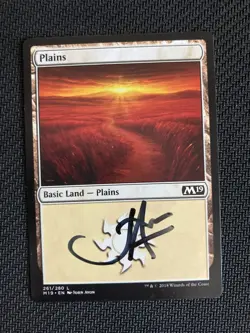 Plains (261) Core Set 2019 SIGNED by the artist John Avon - Image 1