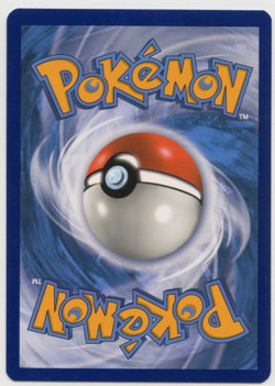 Oshawott - 21/25 - Mcdonald's 25th Anniversary Promo 2021 - Holo-Pokemon TCG-NM - Image 2